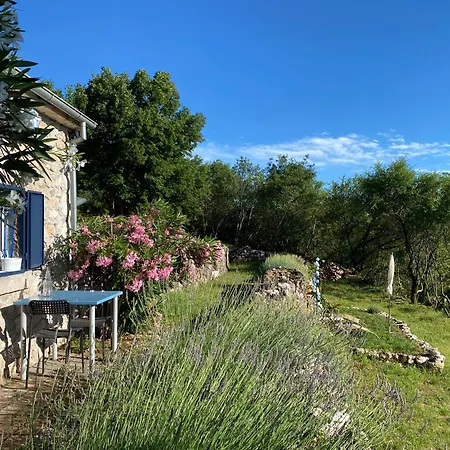 Tiny House Casa vacanze